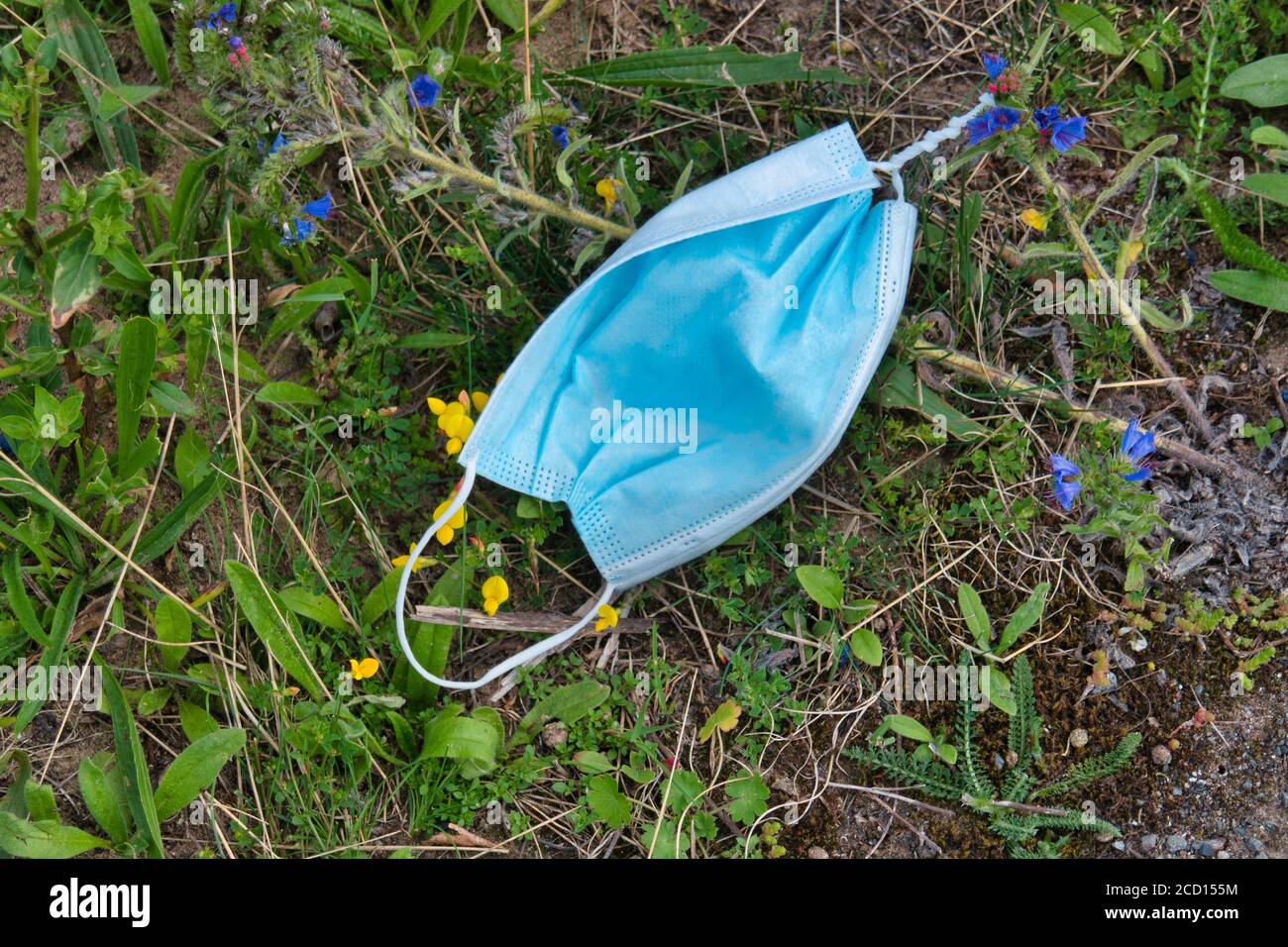 A used, blue surgical mask used for COVID-19 PPE protection, discarded ...