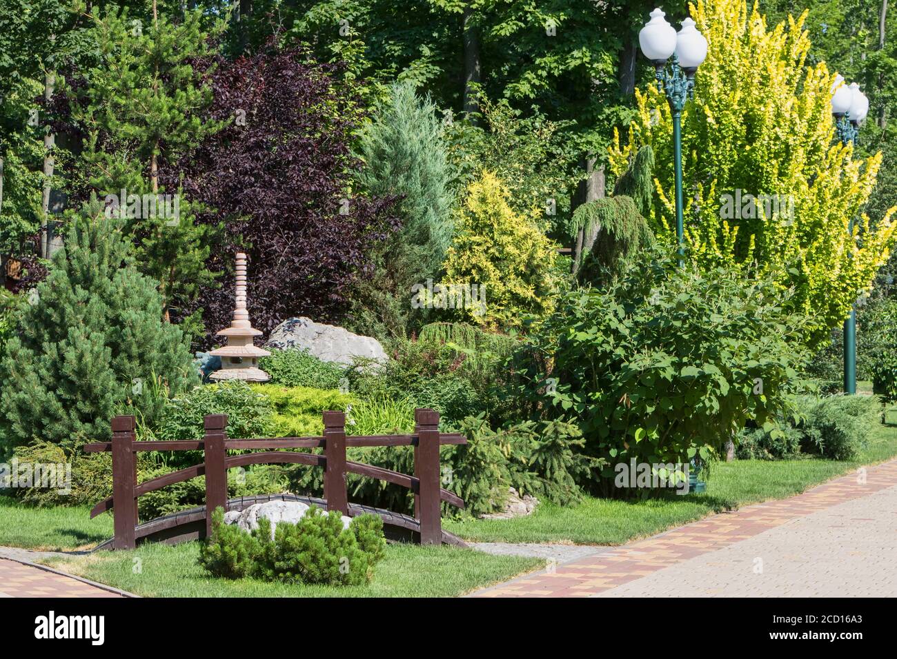 Landscape design with coniferous trees in the city park. Stock Photo