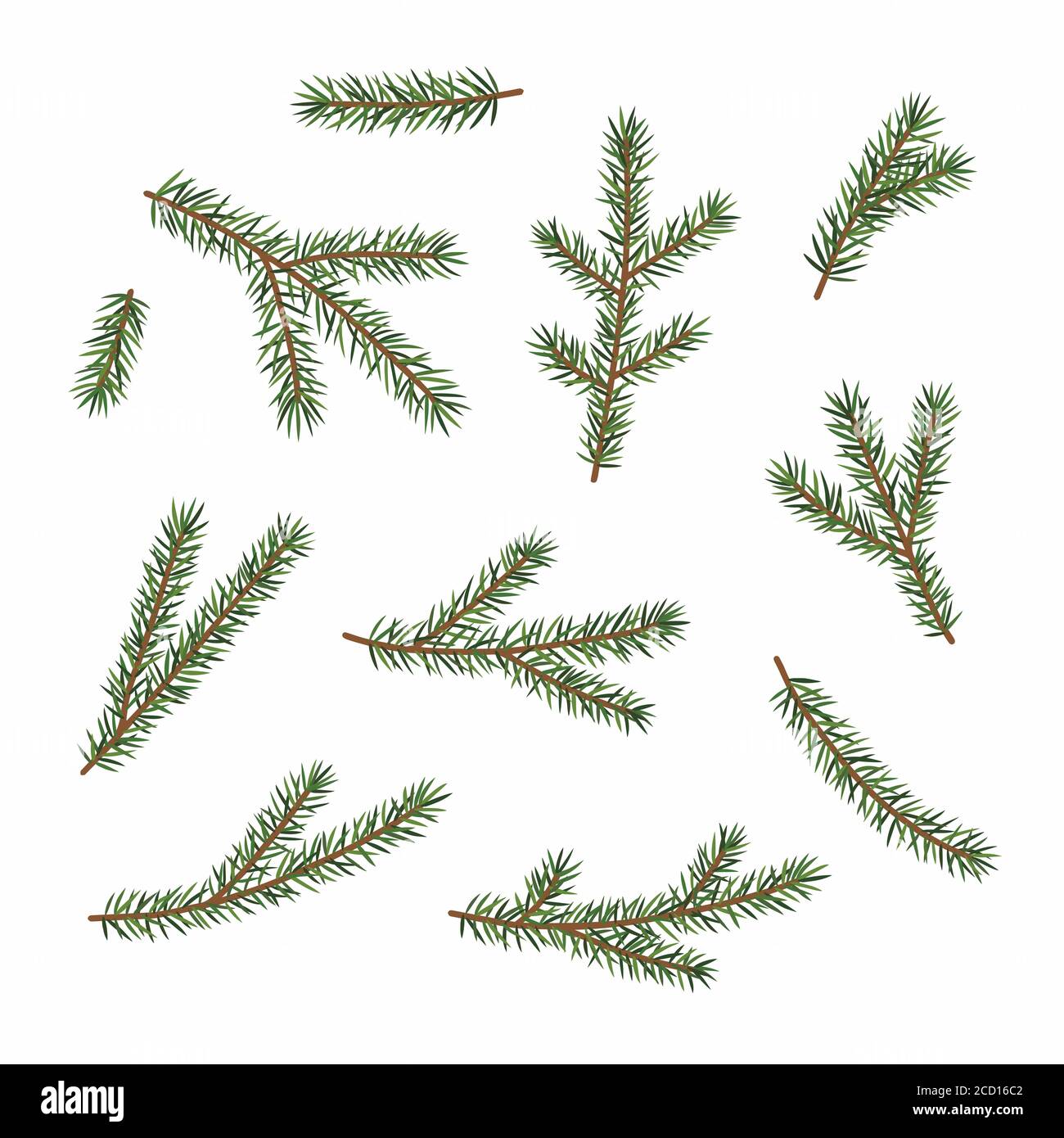 Green branches of a Christmas tree, set, isolated on white background ...