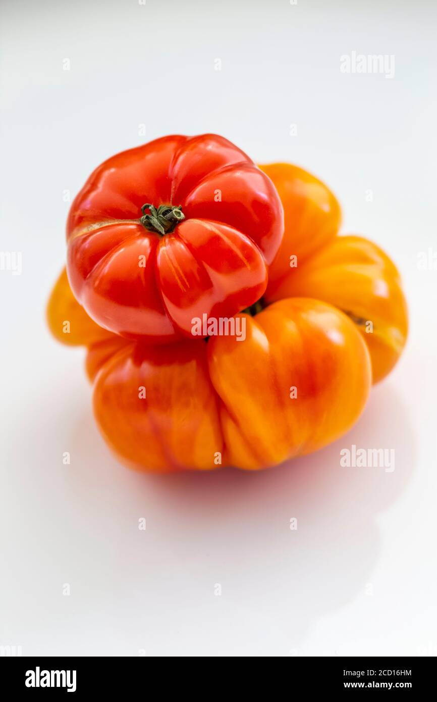 Tomatoes white background heirloom hires stock photography and images