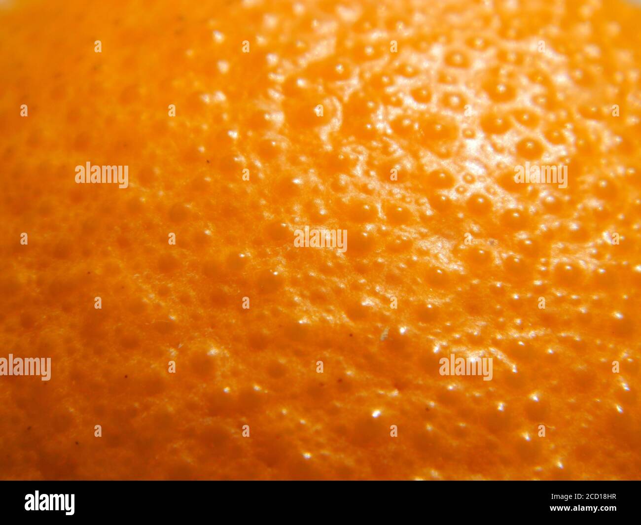 Fresh orange peel hi-res stock photography and images - Alamy