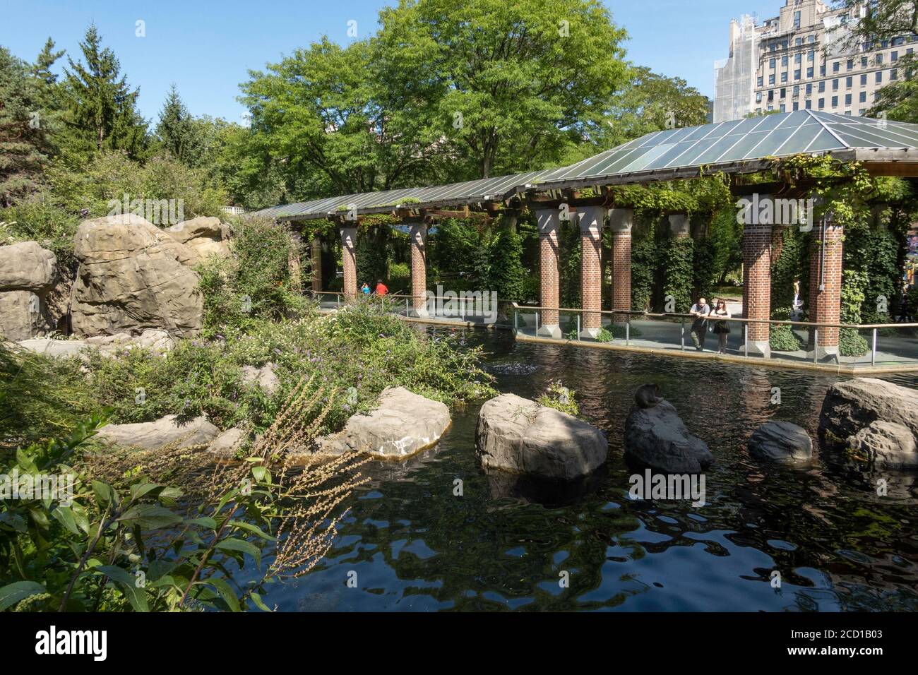 Central Park Zoo, NYC Stock Photo - Alamy