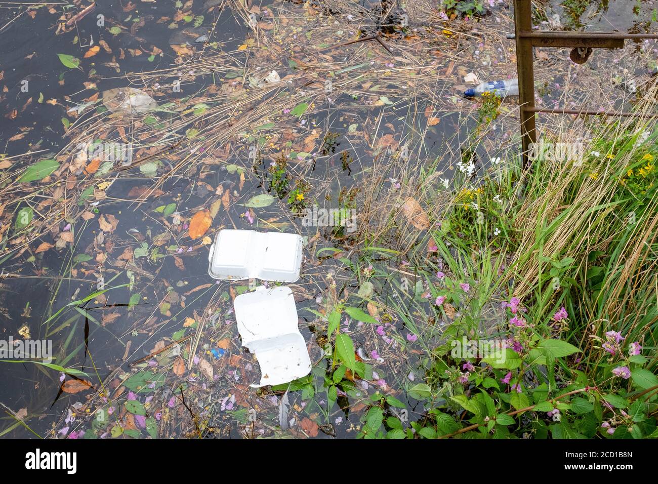 A polystyrene take away container floats in the River Nith, Dumfries