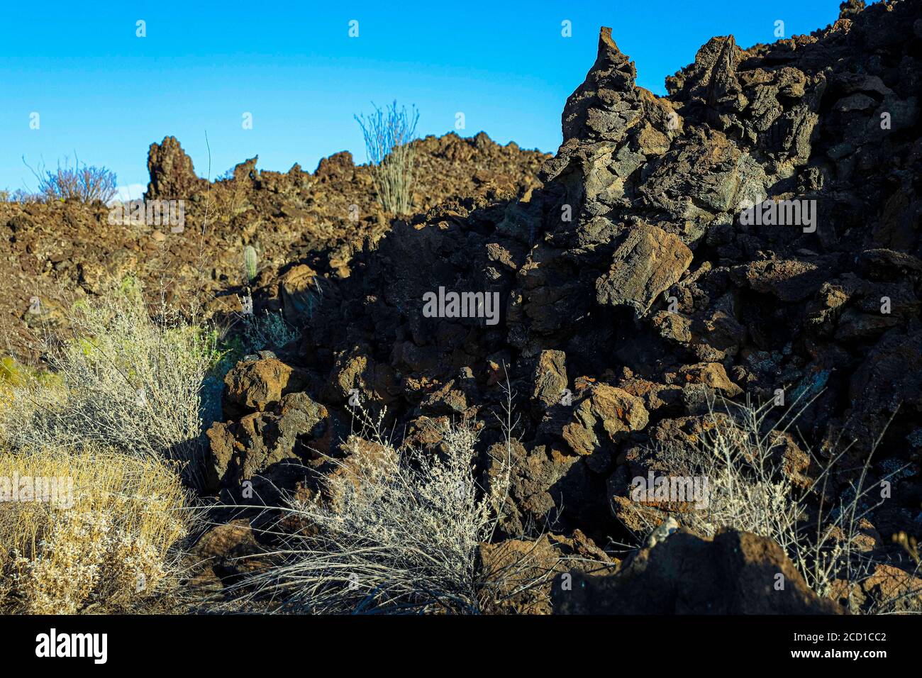 Sonoran Desert in the highlands of the El Pinacate Biosphere Reserve and the Great Altar Desert in Sonora, Mexico. Heritage of humanity by unesco. Typ Stock Photo