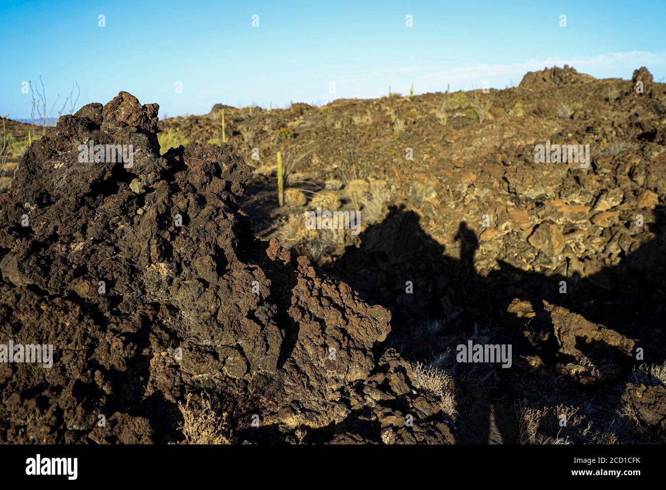 Sonoran Desert in the highlands of the El Pinacate Biosphere Reserve and the Great Altar Desert in Sonora, Mexico. Heritage of humanity by unesco. Typ Stock Photo