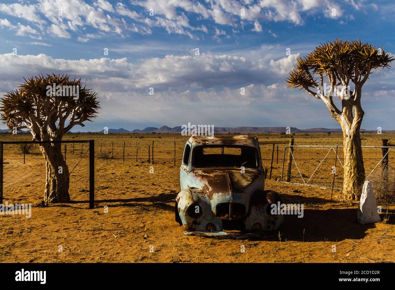 Two quiver trees and an old car in Karas region, south of Namibia, an unpopulated  area Stock Photo