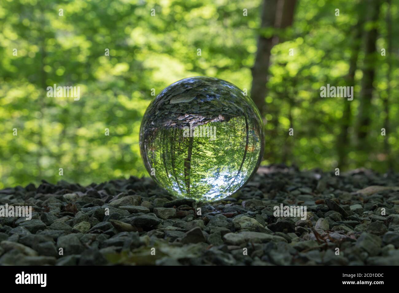 lensball on the ground reflects the nature in a forest in bavaria, Germany Stock Photo
