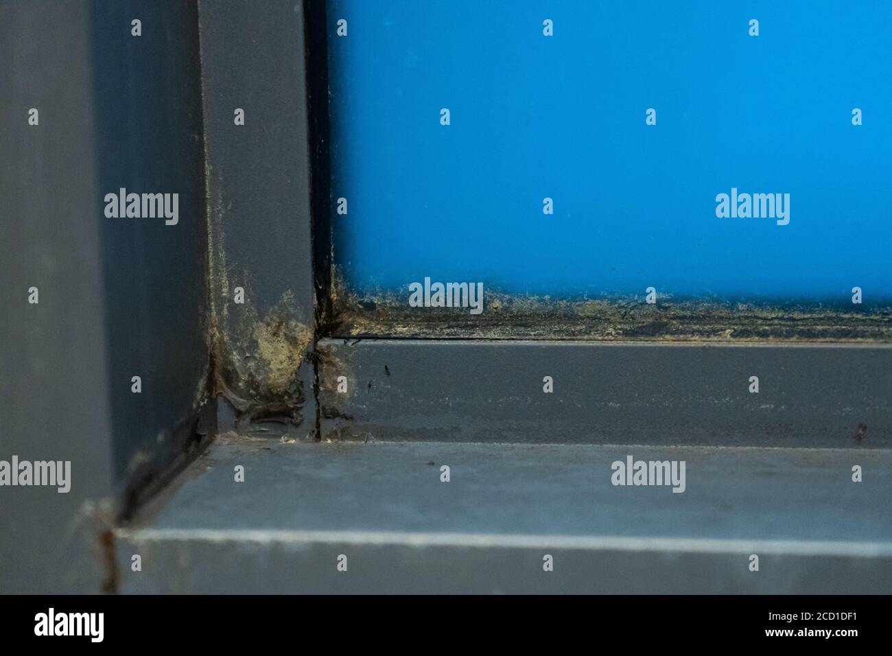 Old plastic window frame in the shower. Moldy angle, fungus. Problem