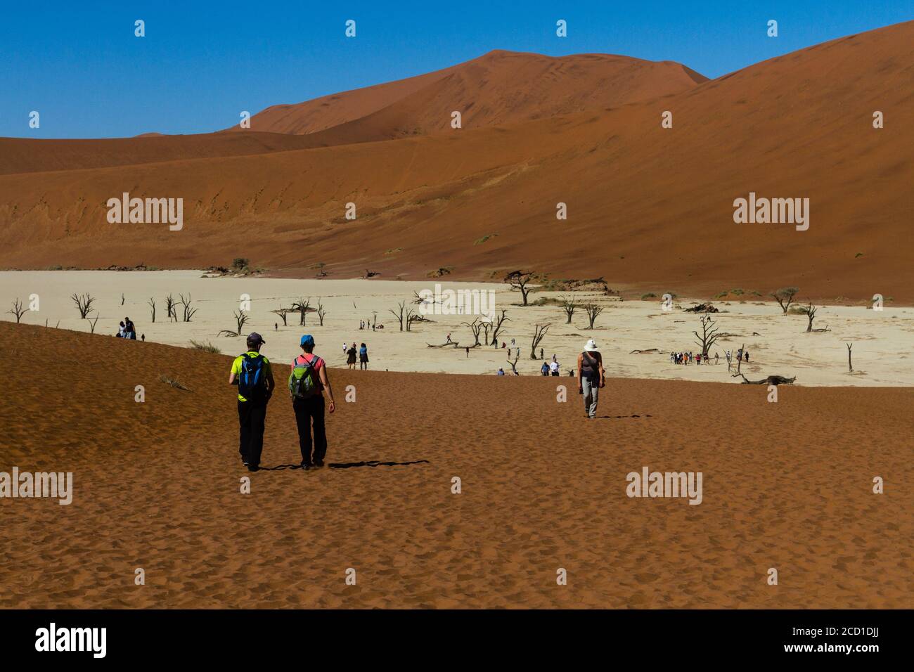 Red dune of Sossusvlei, in Namibia, which are part of the Namib Sand Sea, classified as World Heritage by UNESCO in 2013. Stock Photo