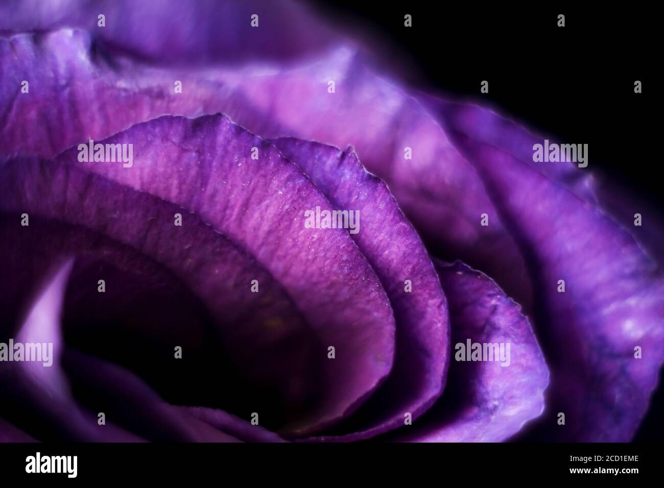 Vibrant abstract floral pattern hi-res stock photography and images - Alamy