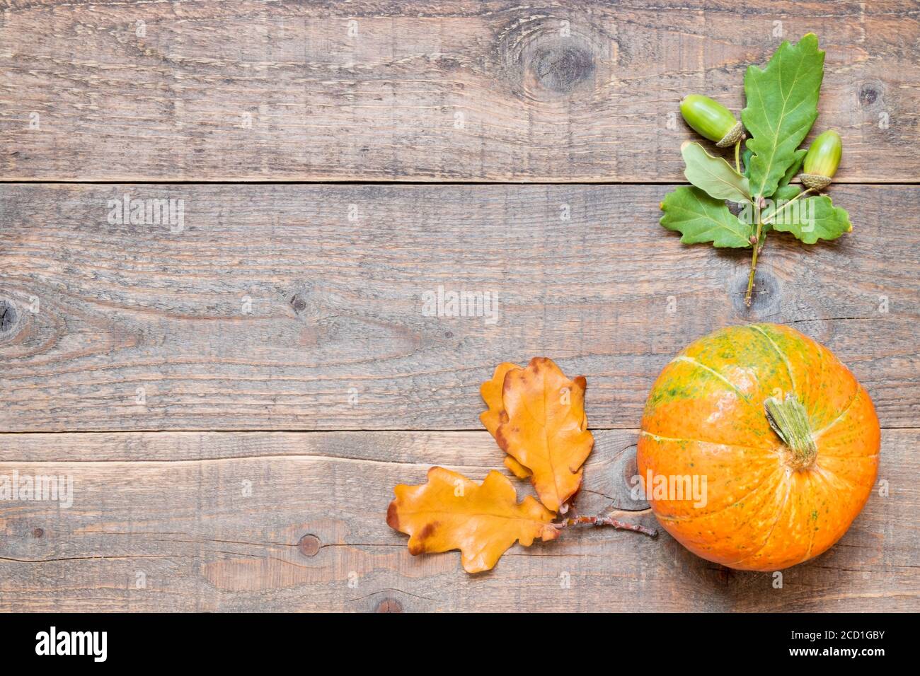 Autumn background with oak leaves and pumpkin. Minimalistic frame of ...