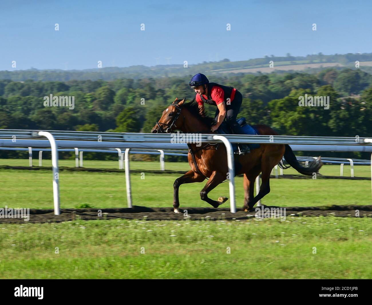 Race Horse Training on the Gallops at Warren Hill in Newmarket Stock Photo