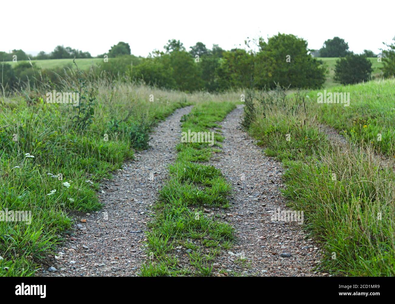Track through a wheat field hires stock photography and images Alamy