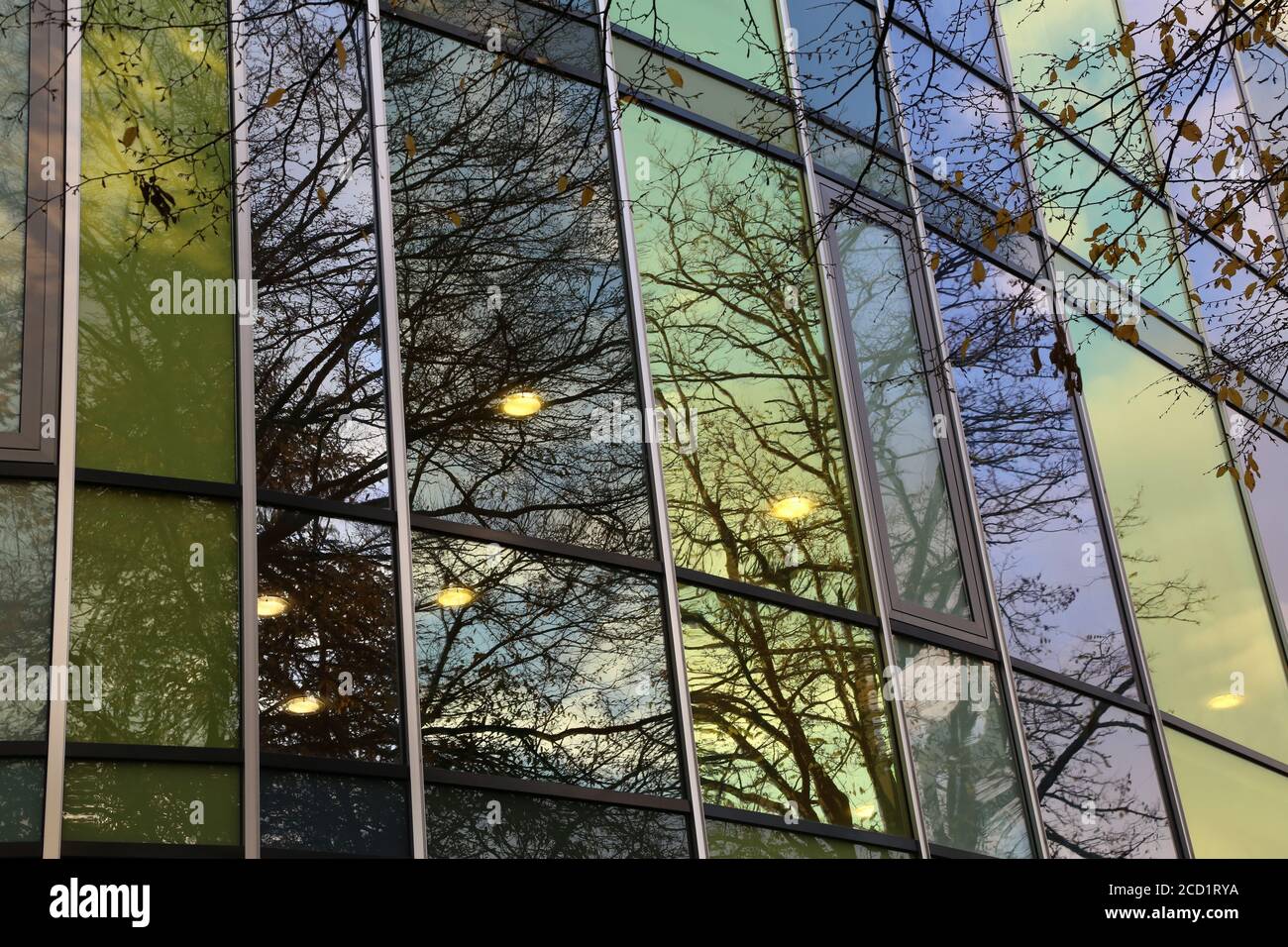Trees reflecting in the glass windows of a building Stock Photo - Alamy