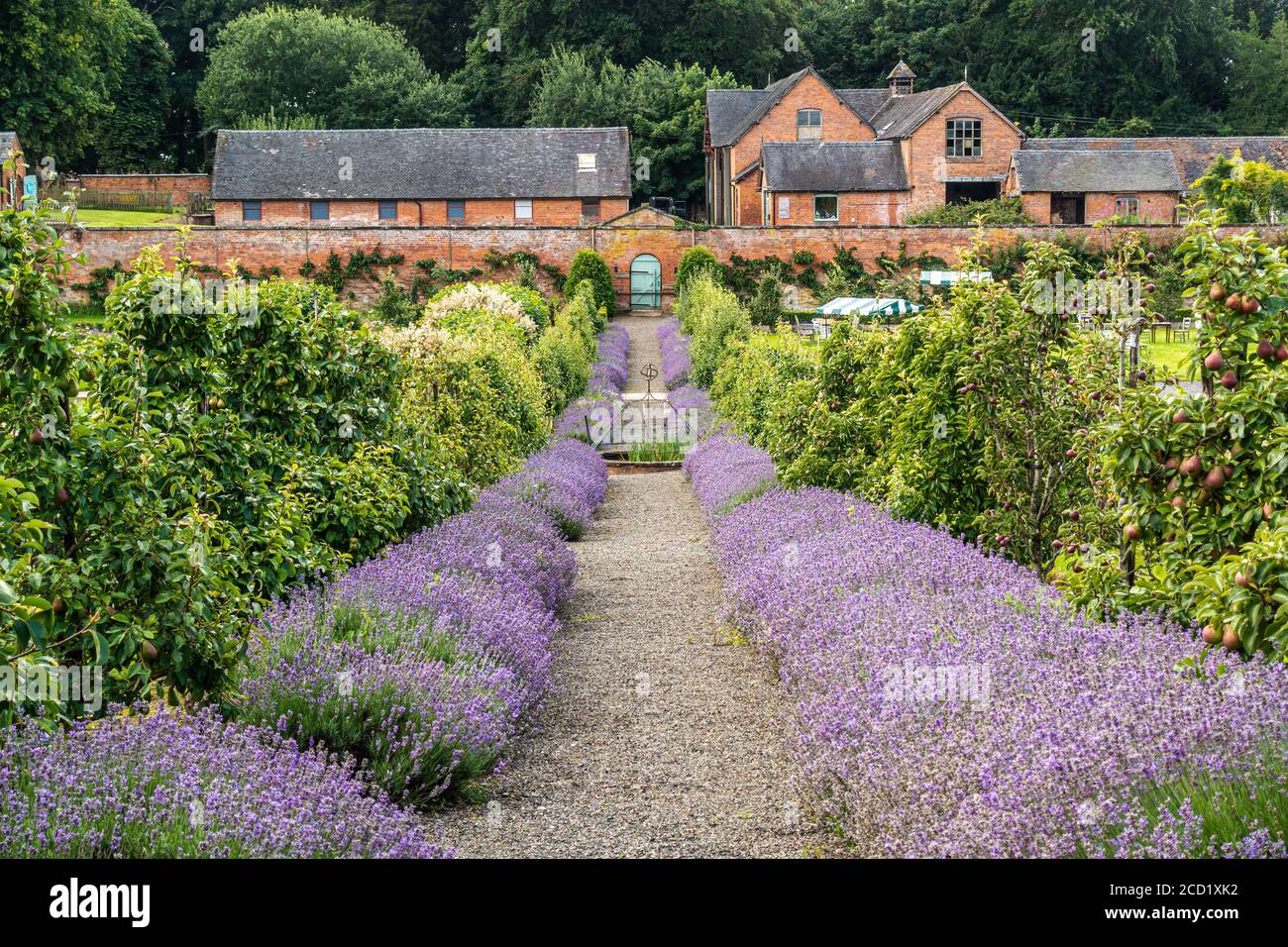 The walled Garden Tea Rooms and garden at Sugnall in Staffordshire