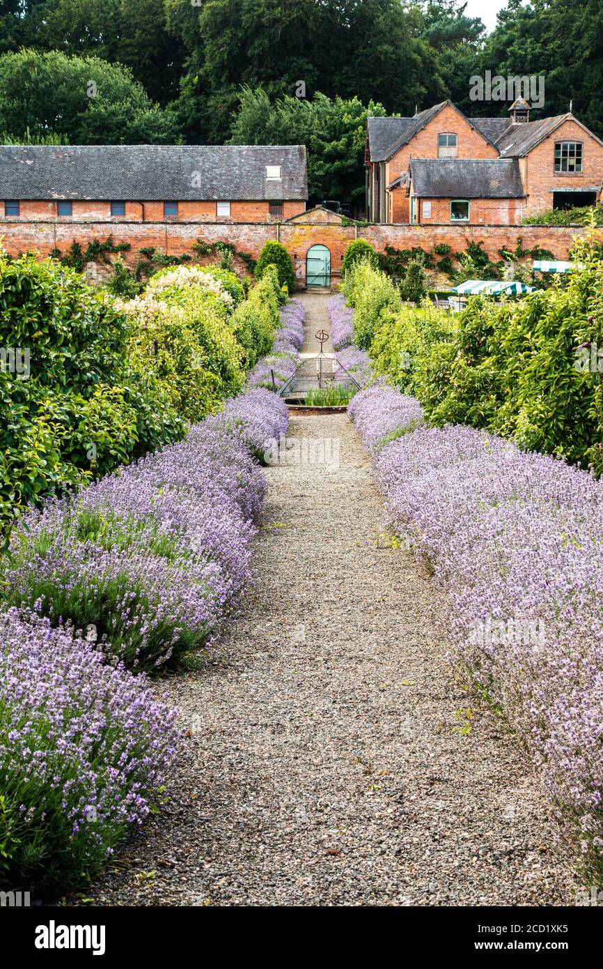 The walled Garden Tea Rooms and garden at Sugnall in Staffordshire
