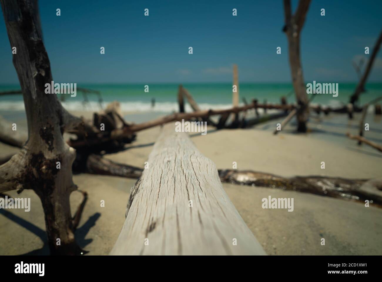 Taken on Beer Can Island, FL, which is near Coquina Beach on Longboat