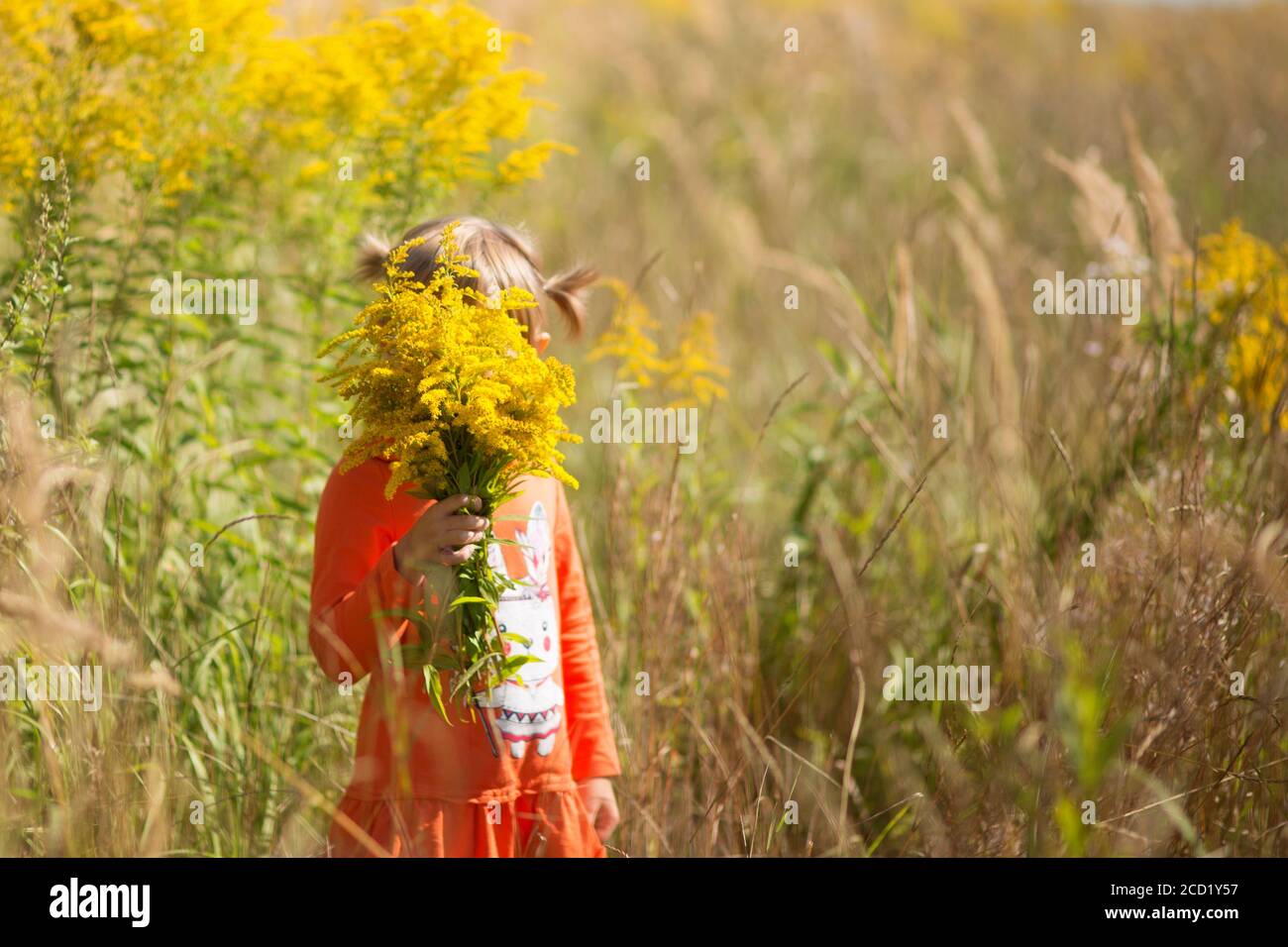 Pretty little girl covers her face with a bouquet of wildflowers Stock ...