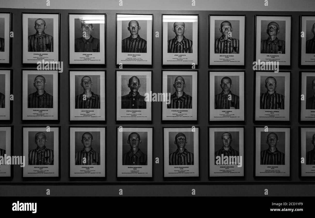 A collection of prisoner portraits displayed in the museum buildings of Auschwitz I. Stock Photo