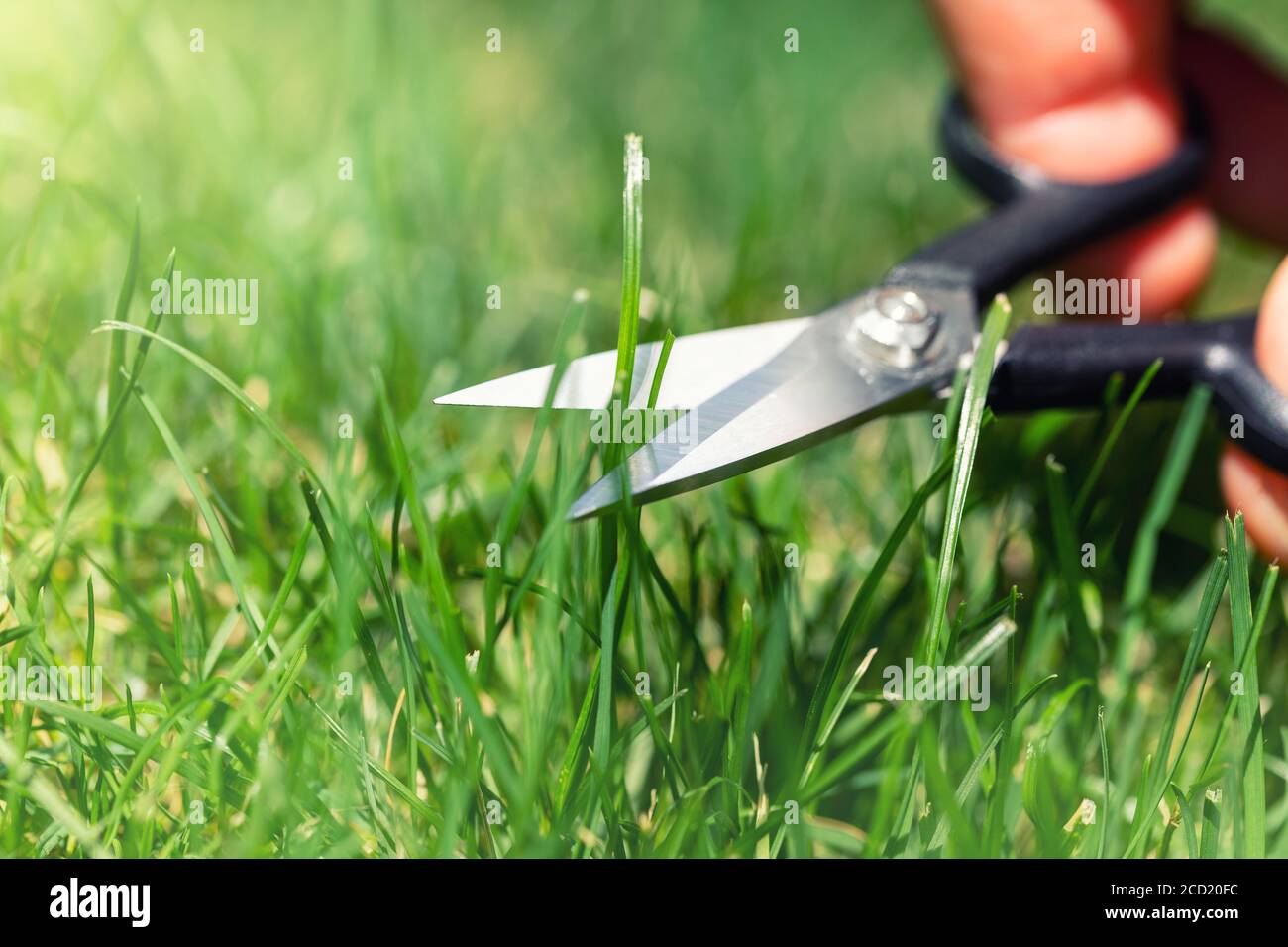 Cutting Grass With Scissors High Resolution Stock Photography and Images Alamy