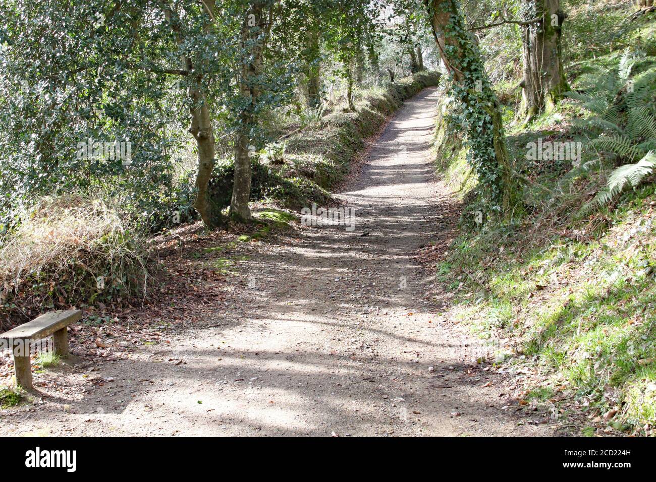 Straight road with trees either side hi-res stock photography and ...