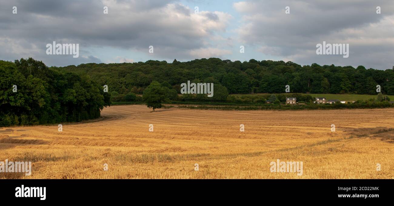 Rolling hills of english countryside hi-res stock photography and