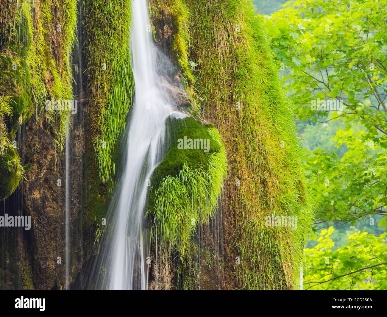 Plitvice lakes in Croatia Europe water flowing waterflow waterfall Stock Photo