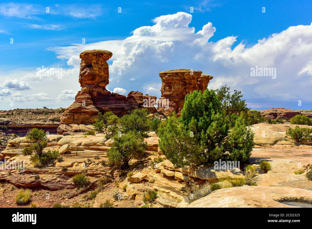 Canyon Lands Utah, Landscape Stock Photo