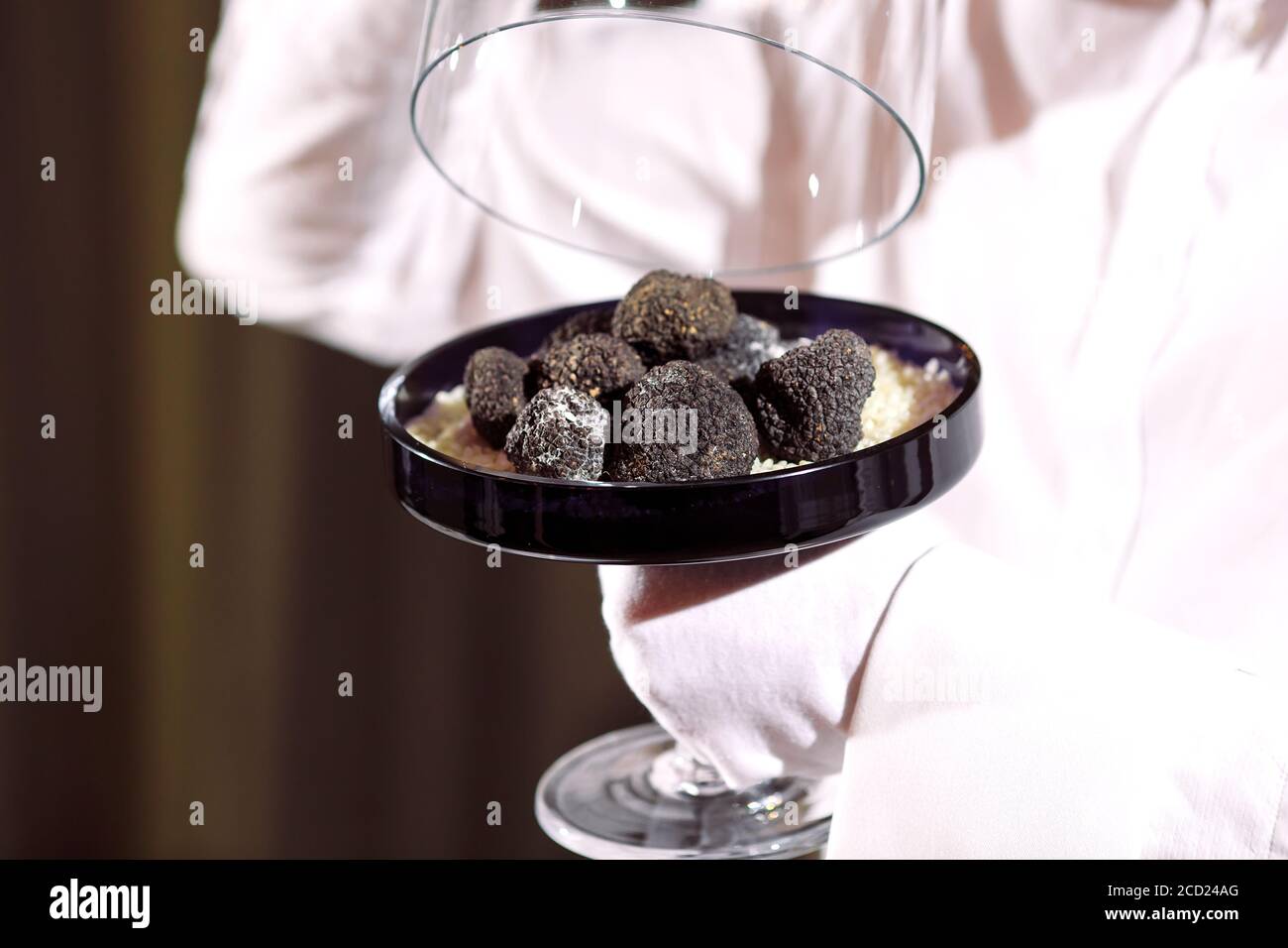 Truffle mushroom american hires stock photography and images Alamy