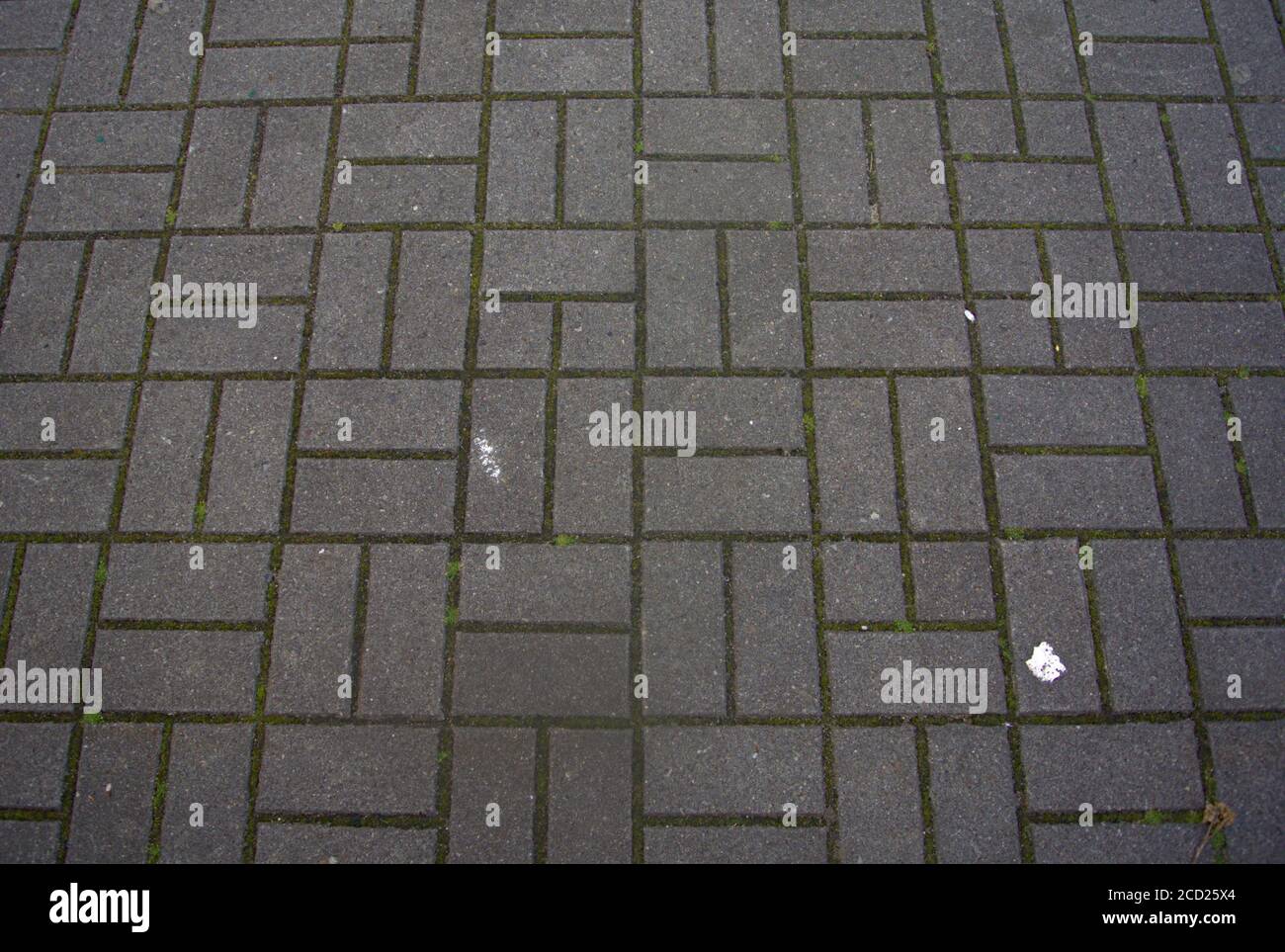 A stone slab patterned floor outside Stock Photo