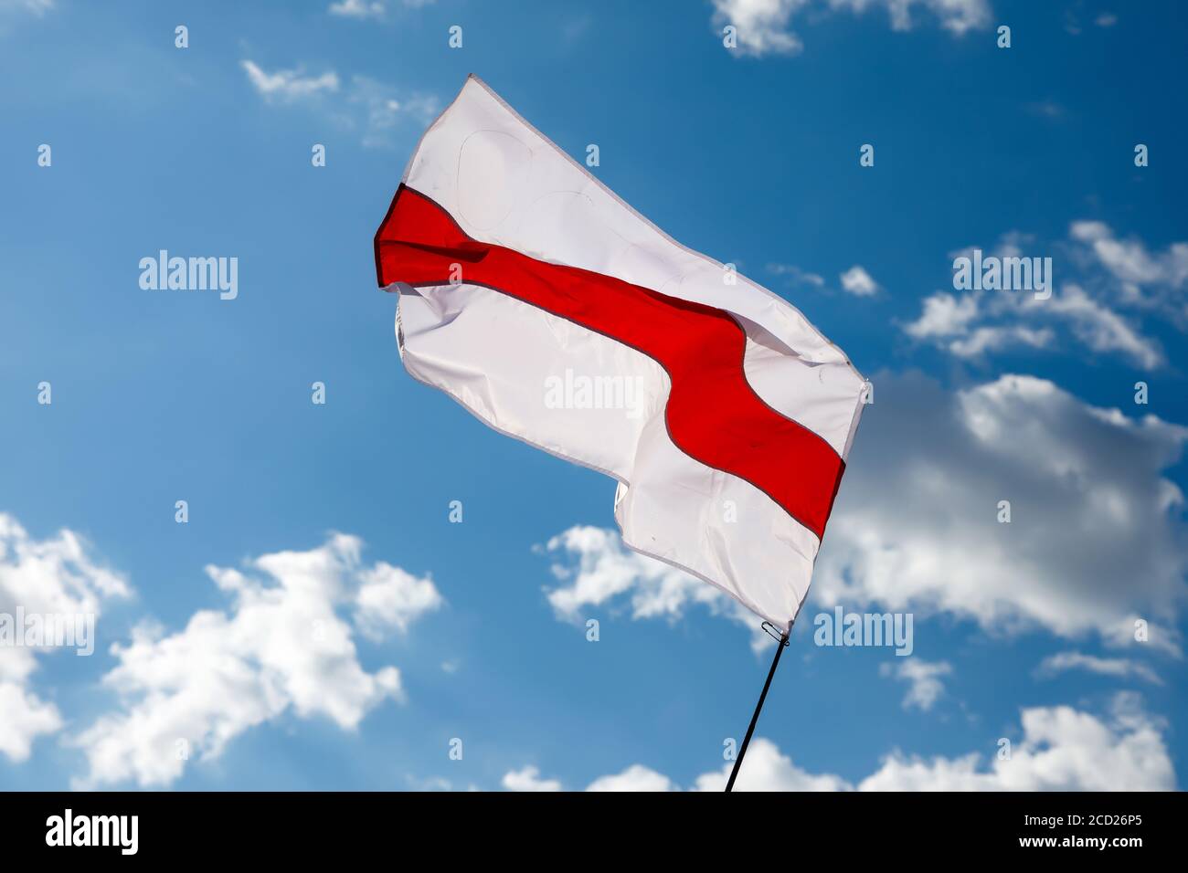 New Belarus white-red-white flag. Protest and historical authentic flag ...