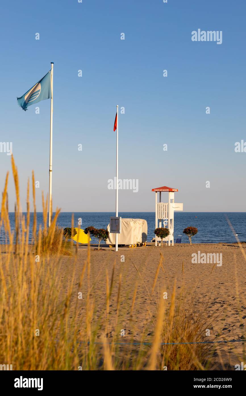 Beach grass vertical hi-res stock photography and images - Alamy