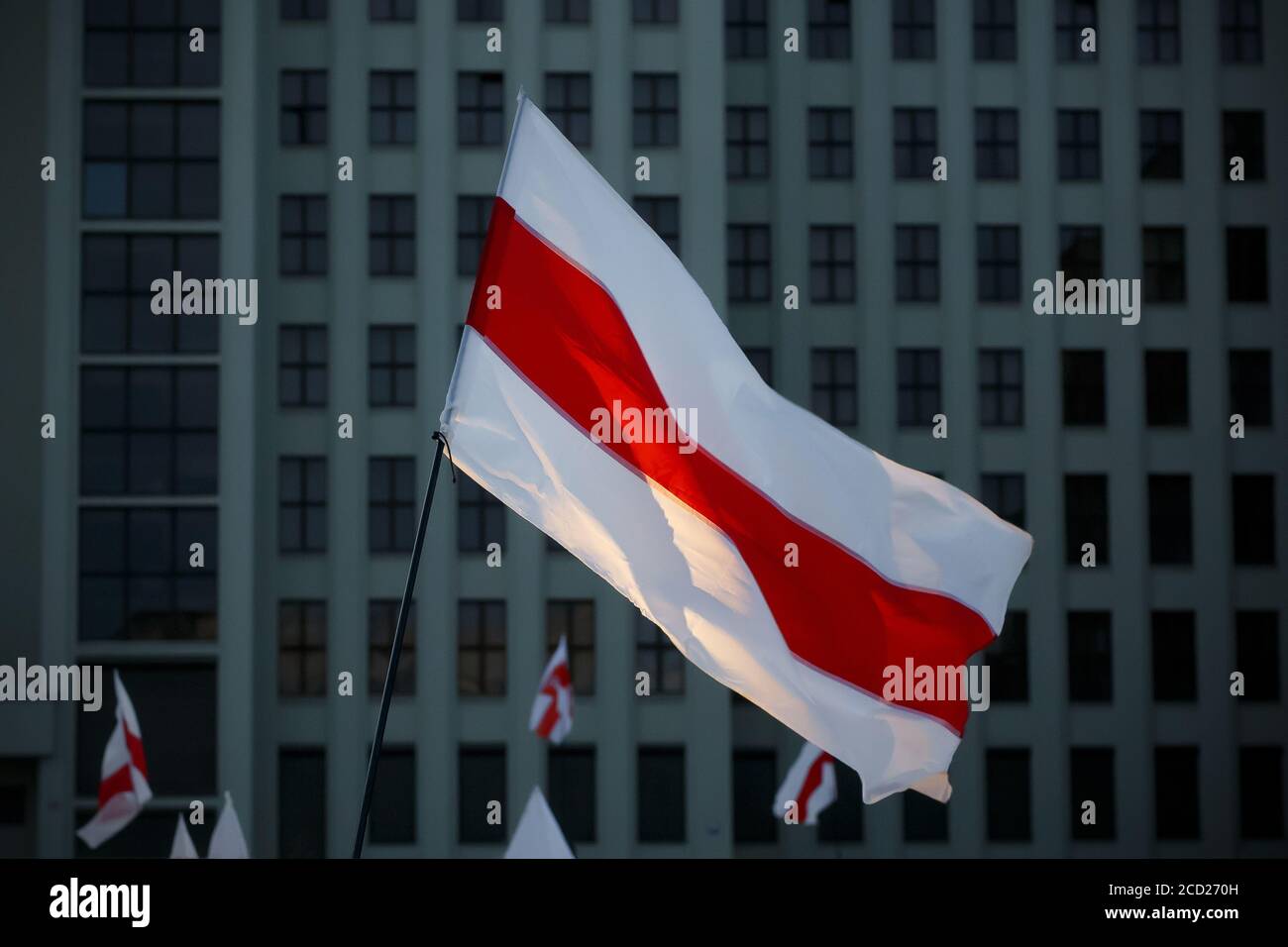 New Belarus white-red-white flag. Protest and historical authentic flag ...