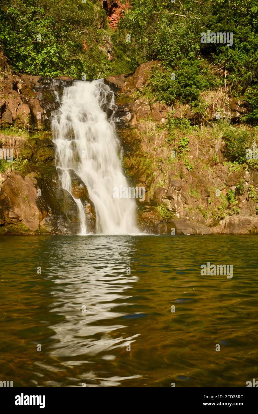 A 45-foot waterfall, reflecting onto swimming pond at the beautiful and tropical botanical garden in Waimea Valley, Oahu Island, Haleiwa, Hawaii, USA Stock Photo