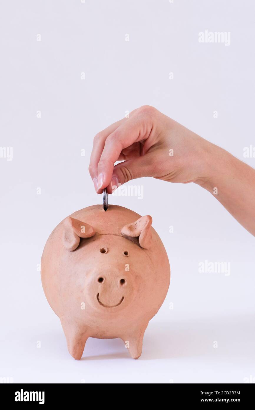 Pig coin with Brazilian money and coins Stock Photo