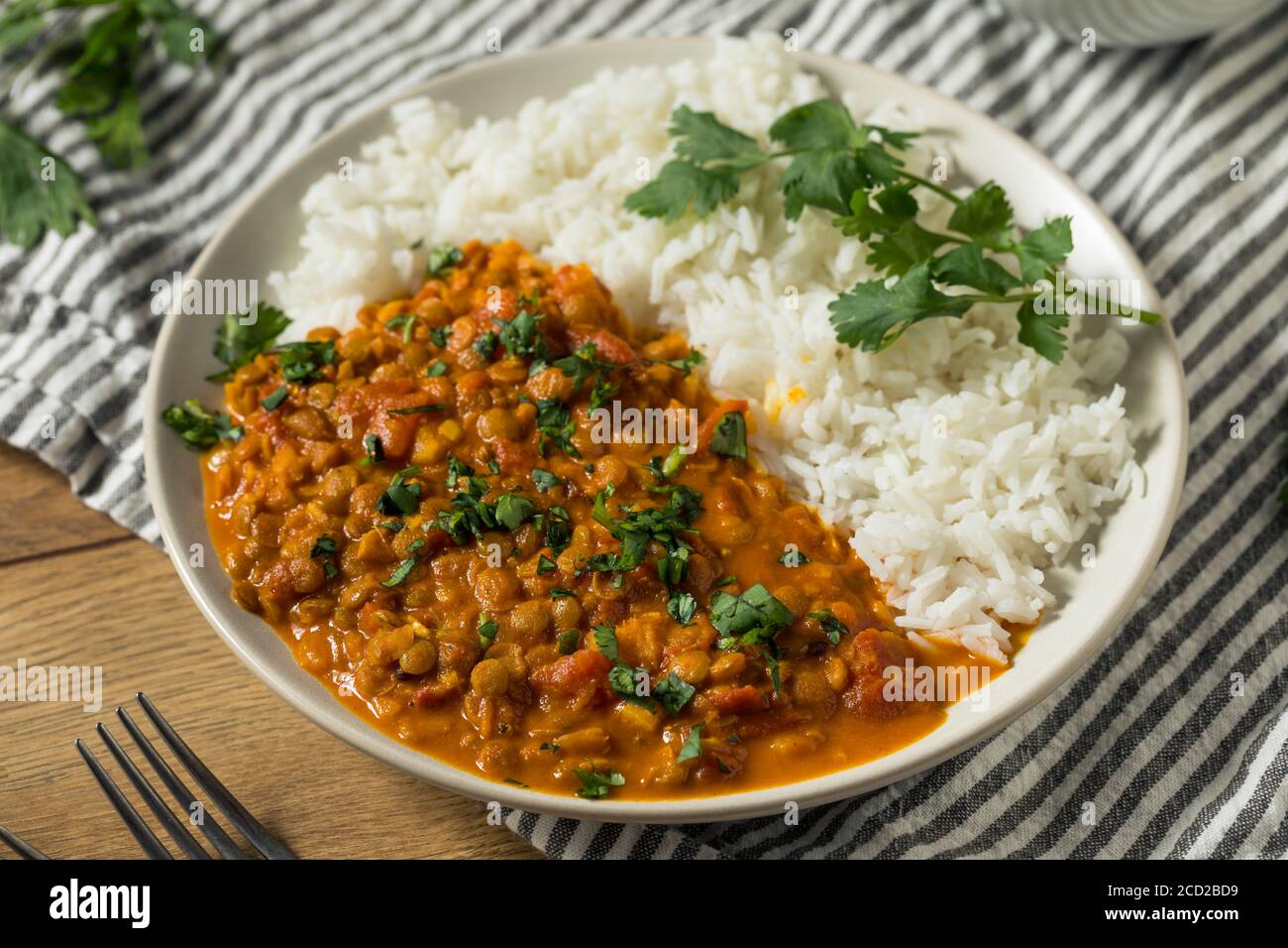 Homemade Spicy Indian Curry Lentils with Rice and Cilantro Stock Photo Alamy