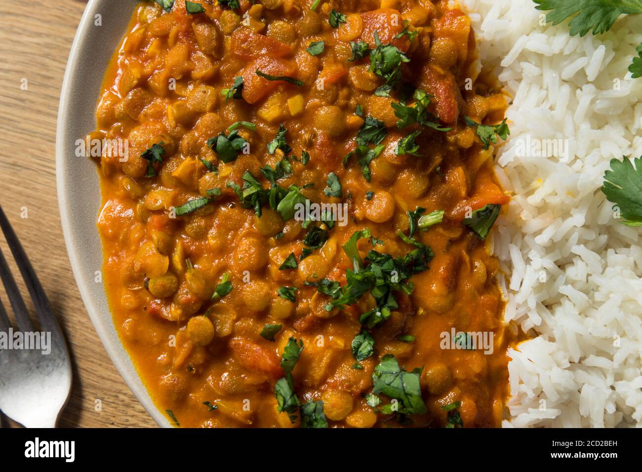 Homemade Spicy Indian Curry Lentils with Rice and Cilantro Stock Photo