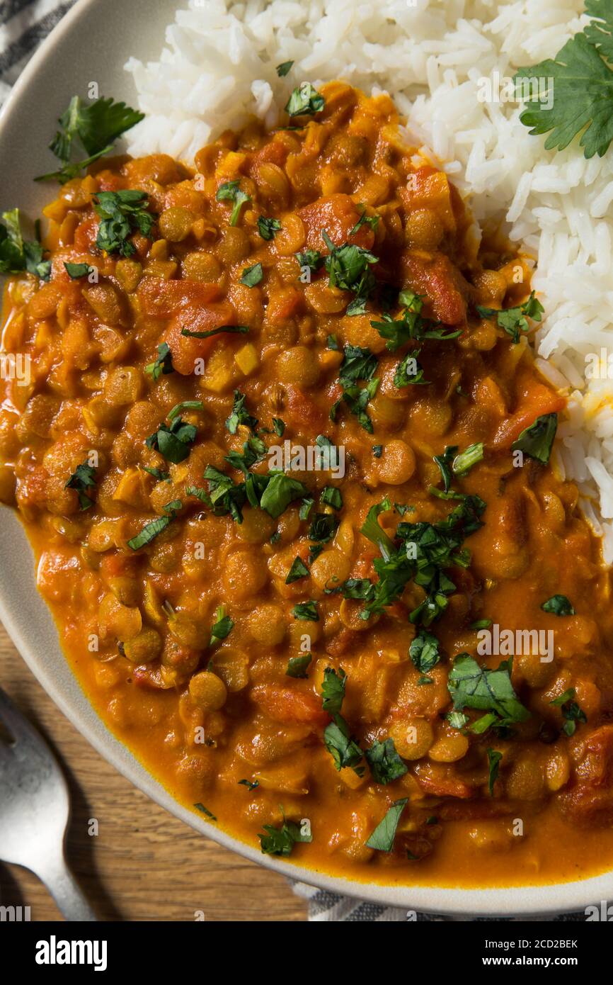 Homemade Spicy Indian Curry Lentils with Rice and Cilantro Stock Photo Alamy