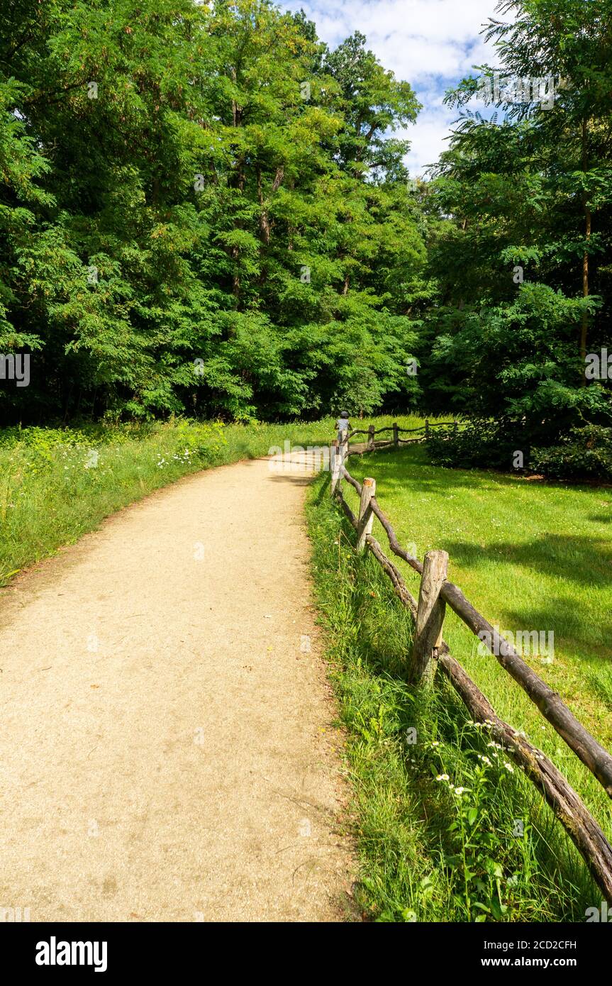 Vertical shot park path hi-res stock photography and images - Alamy