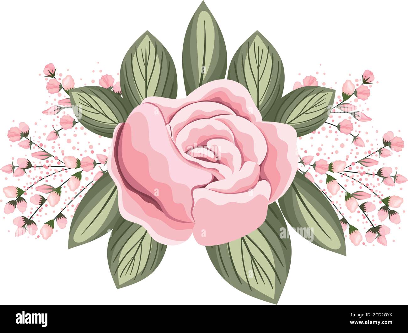 pink rose flower with buds and leaves painting design, natural floral ...