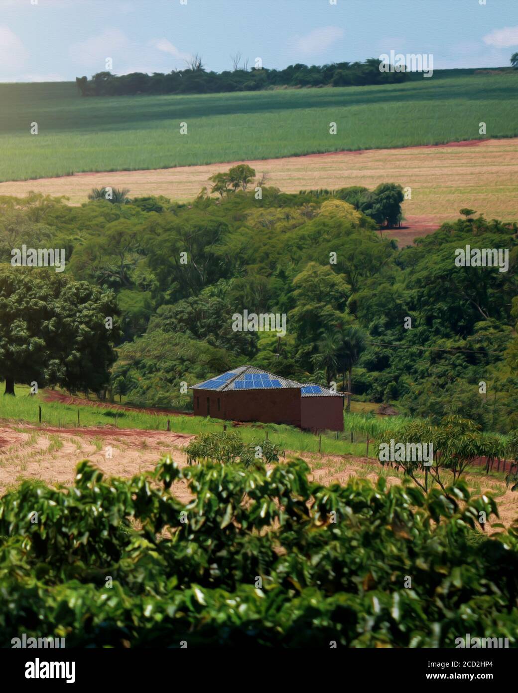 Solar panel farm india hi-res stock photography and images - Alamy