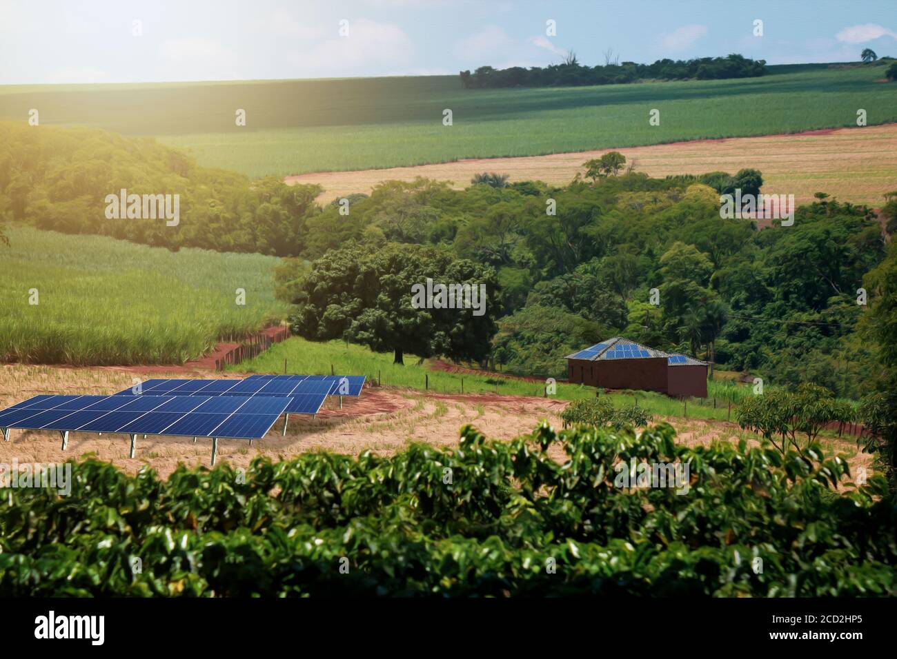 Solar panel farm india hi-res stock photography and images - Alamy