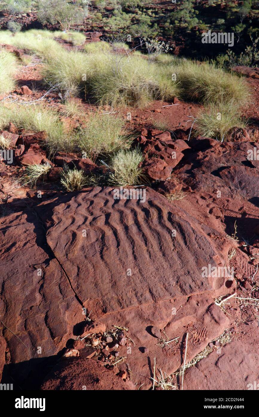 Ripple rock (fossil sand ripples), Island Stack, Boodjamulla (Lawn Hill) National Park, Queensland, Australia Stock Photo