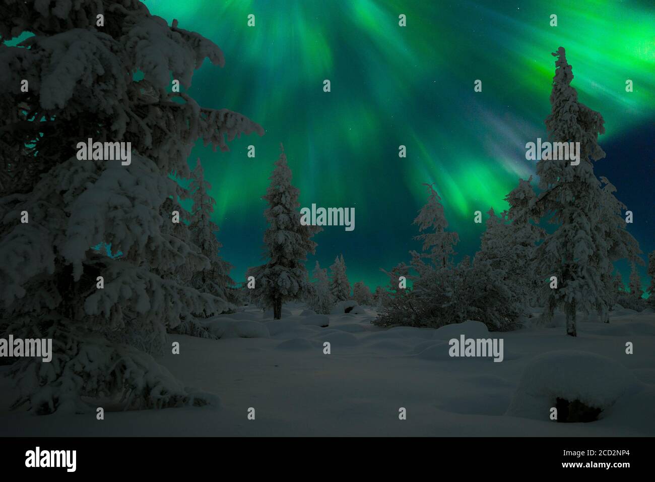 Winter background with Northern Lights - Aurora borealis and nature ...