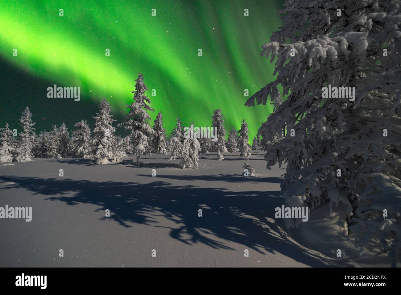 Winter background with Northern Lights - Aurora borealis and nature ...