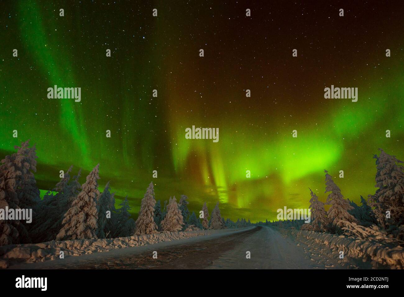 Winter background with Northern Lights - Aurora borealis and nature ...