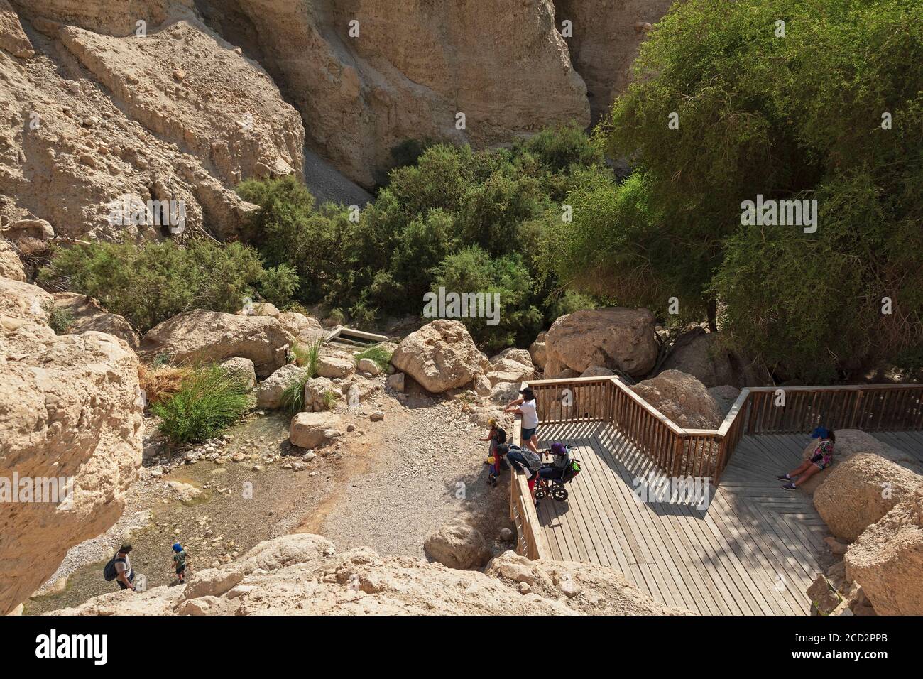 visitors enjoying the lower waterfall of the david stream in the ein gedi reserve in israel from the handicapped access observation deck Stock Photo