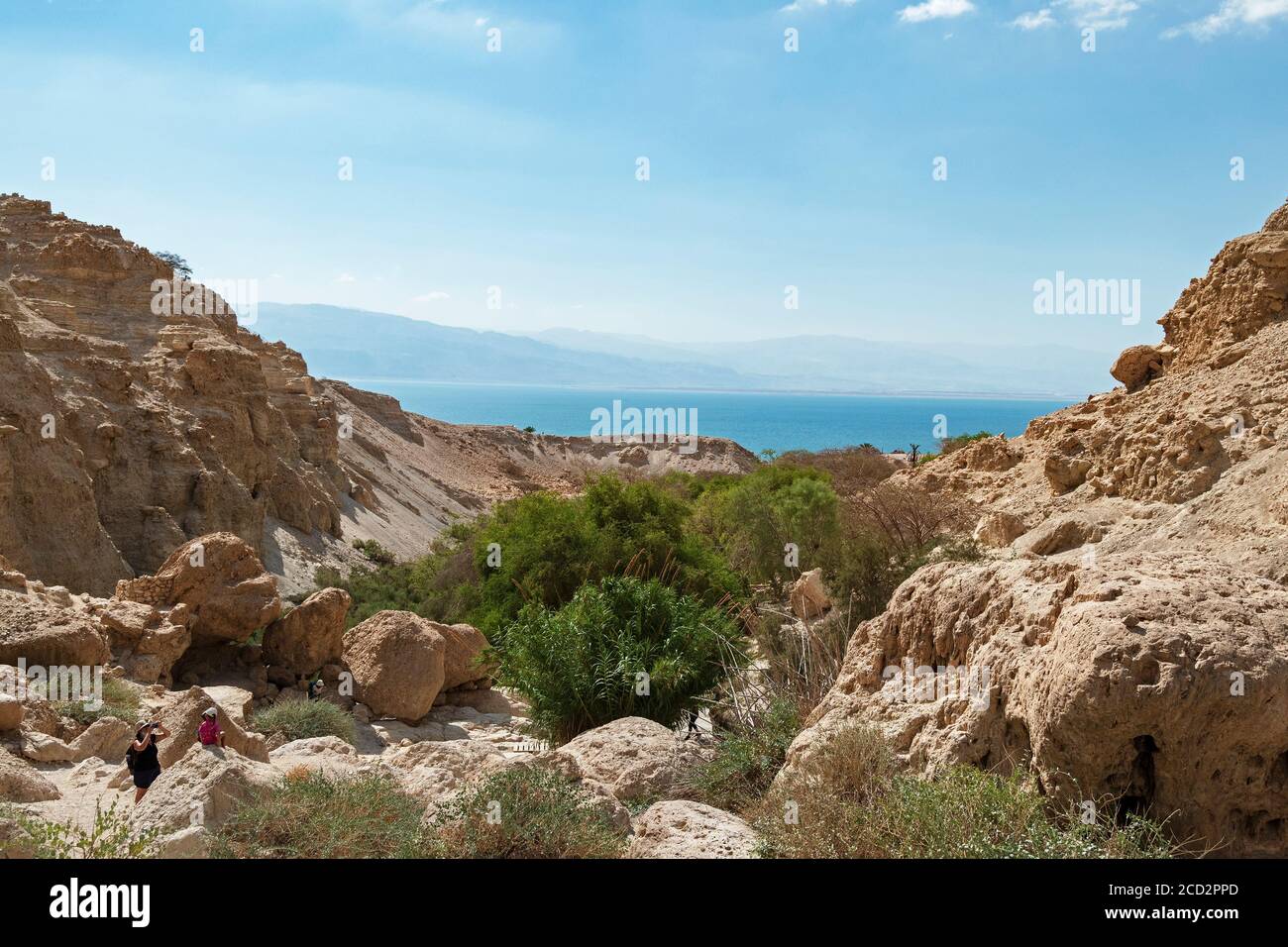 a few tourists admire the scenery in the david stream in ein gedi park in israel showing boulders, lush trees, desert cliffs and the dead sea Stock Photo