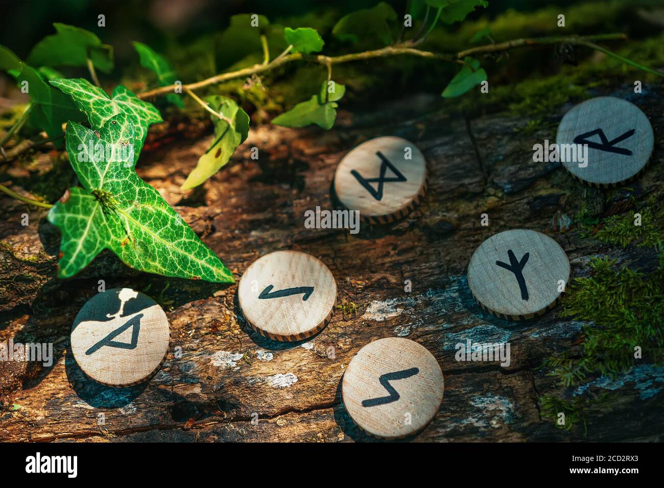 On the trunk of a tree, covered with ivy, are wooden Scandinavian runes. The concept of divination and esotericism. Dark colors. Stock Photo