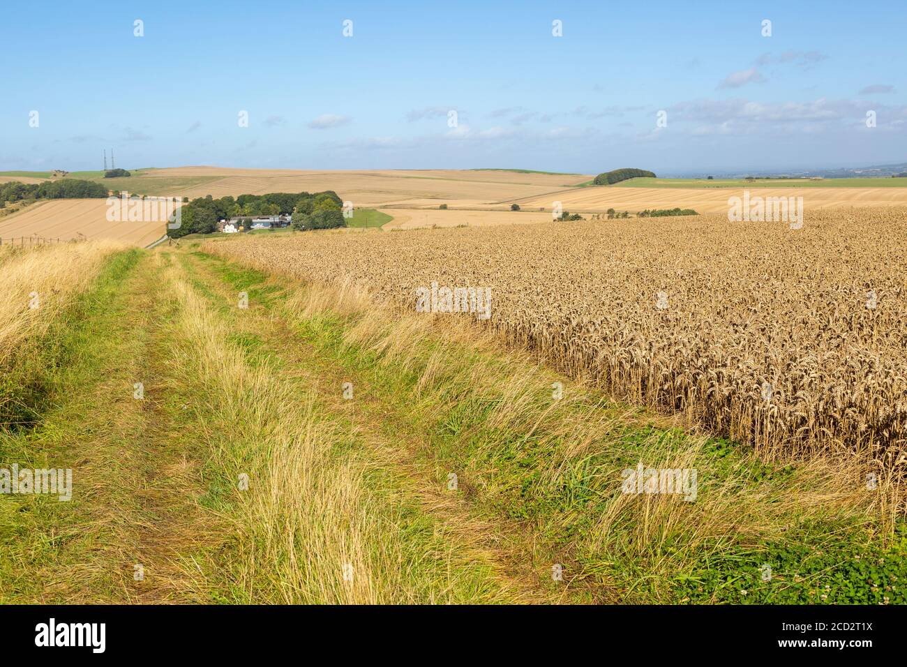 Chalk landscape North Wessex Downs AONB, view to Morgans Hill from Bishops Cannings Down, Wiltshire, England, UK Stock Photo